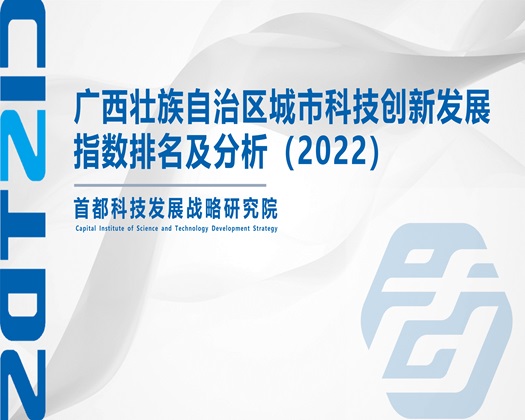 草女人网站【成果发布】广西壮族自治区城市科技创新发展指数排名及分析（2022）